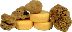 ® Synthetic and Natural Silk Sponges for Painting, Crafts, Ceramics, Pottery and