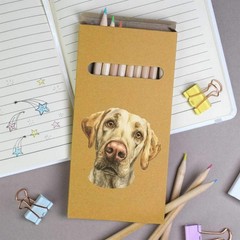 12 x ‘Labrador Retriever Dog Portrait’ Long Colour Pencils (PE00093145)