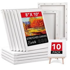 ESRICH Stretched Canvases for Painting 8×10, 10 Pack 8X10IN 10 Packs, white