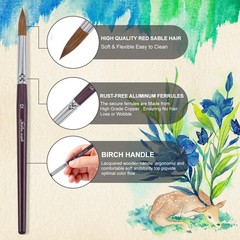 Artist Paint Brushes – Superior Sable Watercolour Brushes Round Point Tip Pai…