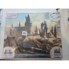 Harry Potter Paint by Number Kit 16×20 Art Craft Set for Beginners