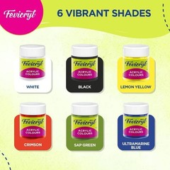 Fevicryl Acrylic Colours Kit 60ml Set of 6 DIY Paints Canvas Wood Fabric Art