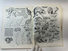 How To Draw Animals by Jack Hamm Paperback 1969