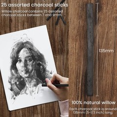 LOONENG Willow Charcoal Sticks, Natural 1 Count (Pack of 1), Black