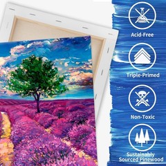 Creative Canvas Collection: 8-Piece 11×14 Inch Stretched Cotton for Every Artist