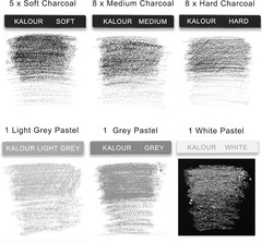 Diverse 24 Pro Charcoal Sticks Set with Pastels – For Artists & Beginners