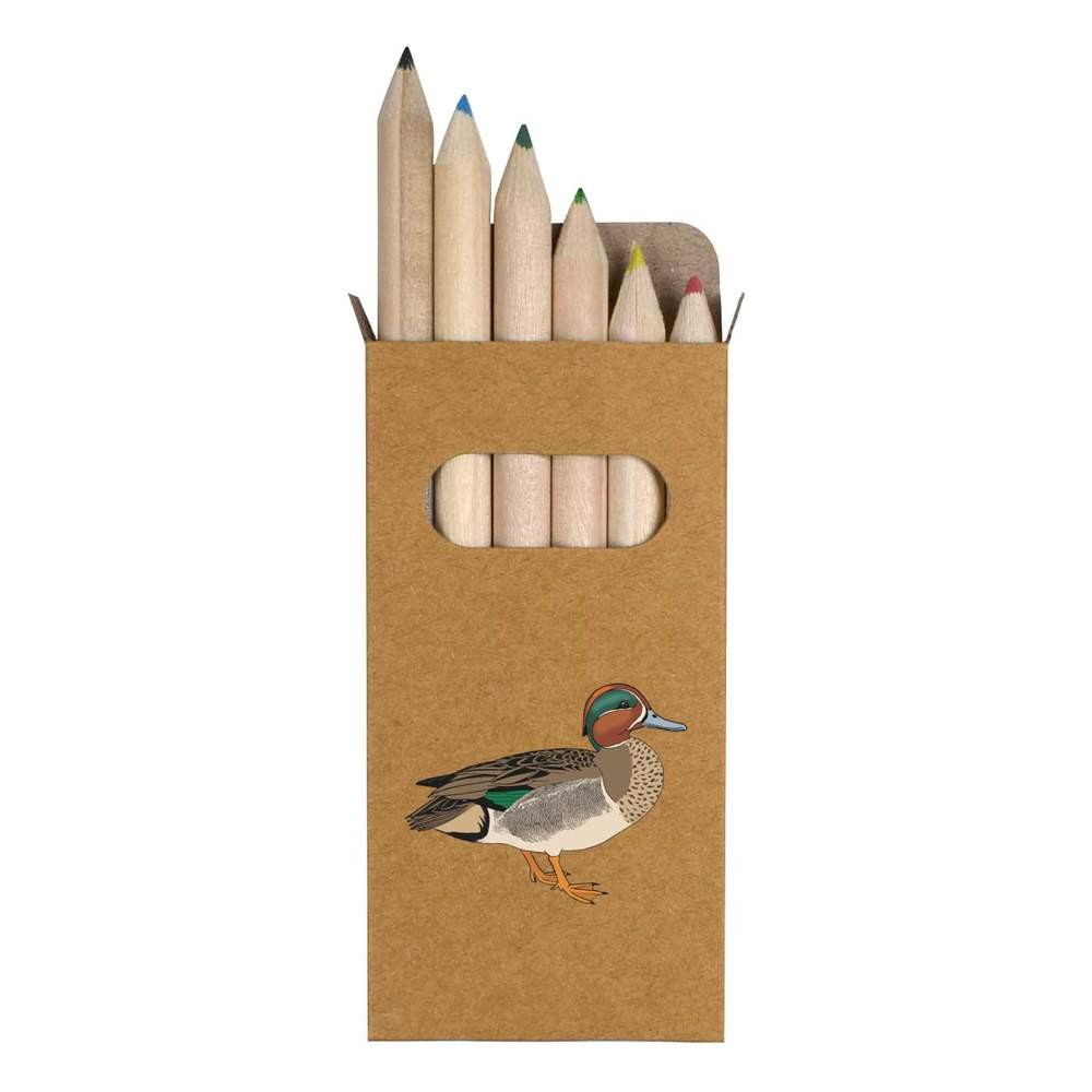 6 x ‘Green Winged Teal Duck’ Short Colour Pencils (PE00086652)