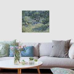 Paint by Number Kits, Van Gogh Oil Painting Art Works DIY 40x50cm, Olive Tree