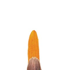 Galeria Round Short Handle Brush, Size 10 #10 Round – Short Handle