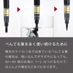 FidgetGear Portable Fude Brush Pen Fude Black Body Medium (XGFKP-A) 1 PC Brus…