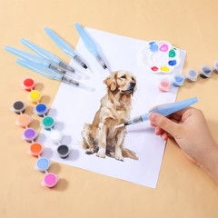 8Pcs Watercolor Brush Pens, Refillable Water Brush Pens Premium Leakproof Wat…