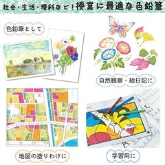Sakura Craypas Colored Pencils Coupy-pencil Soft Case 24colors FY24R1 5set