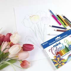 Colored Pencils Platinum Soft Core Artist Paint Drawing Oil-Based