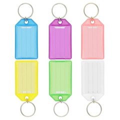 BAZIC Key Tags w/Holder & Label Window (6/Pack), 1-Pack,Modern (1970-Now)