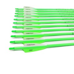 30inch Carbon Arrow Fluorescence Color Targeting and Practice and Hunting Arr…