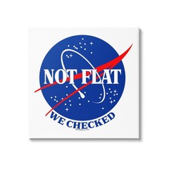 Stupell Industries Not Flat Earth Phrase Canvas Art Az-855_Cn_24X24