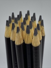 (20) Crayola Colored Pencils (dark brown) BULK