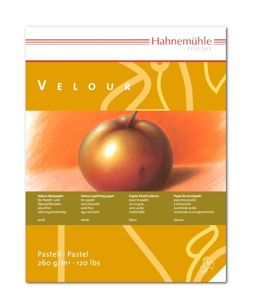 Hahnemuhle Velour 260 GSM Drawing Paper Pad 30x40cm Mixed Colours Art Supply
