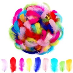 Lamar 300Pcs Colorful Feathers 2-3 Inches Bulk Feathers for Crafting, Craft S…