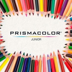 Prismacolor Pastel Colored Pencils Set of 12, Thick 4mm Core, Non-Toxic