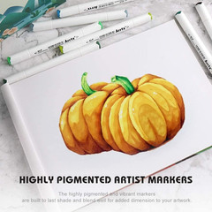 Arrtx Alcohol Markers ALP 80 Colors,Dual Tips Permanent Drawing Art Markers for