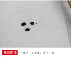 10Pc Ultra-Thin Ripe Xuan Rice Paper Ink Gongbi Painting Copy Calligraphy 云母蝉衣