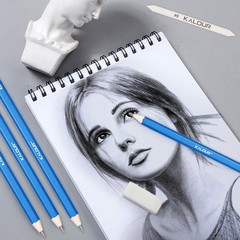 Complete Sketching Pencil Set with Charcoal, Erasers & Travel Case – 33 Items