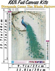 Diamond Art Kits for Adults, 5D DIY Colorful Peacock Diamond Painting Kits for A