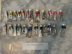 Winsor & Newton Professional Watercolor Curated Set Of 24 Half Pans