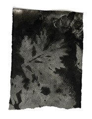 Junk Journal & Mixed Media Backgrounds Botanical Grunge Collage Papers x 10