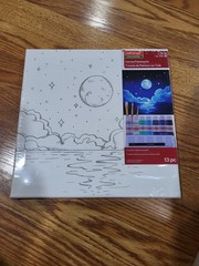 Craft Smart Canvas Painting Kit Acrylic Paint Set 13pc Brushes Multicolor