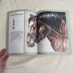 Art Instruction Book Lot 5 Trace & Color In Any Medium Painting Walter Foster