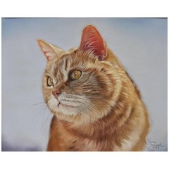 Clairefontaine | Pastelmat Pad No.3 | 30 x 40 cm | 12 Sheets | Drawing Sheets |
