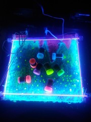 Glow in the Dark Paint – Set of 8, 20 Ml Reflective Acrylic Paints for Outdoor