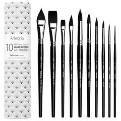 Watercolor Brush Set – 10 Professional Watercolor Paint Brushes for Artists; …