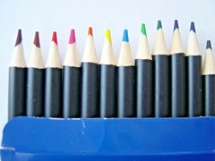 12 Watercolour Pencils Artist Drawing Painting Sketching Art Water Colour pencil
