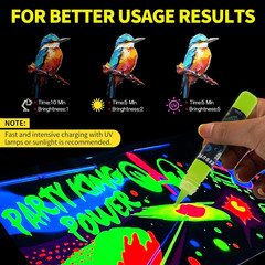 Glow in the Dark Acrylic Paint – Set of 12 Colors Uv Reactive Blacklight Paints