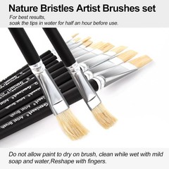 Ideal 9-Piece Artist Brush Set for Students & Professionals – Black Handle