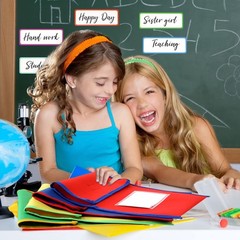 16 PCS Large Book Bags Classroom Pouches Nylon Clear Tag Handle 12×15 Inch