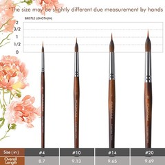 Watercolor Brushes Professional, Fuumuui 4Pcs Extended Needle Point Brushes S…