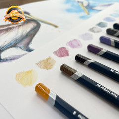 72 Count Watercolour Colored Pencils Drawing Art Set Metal Tin
