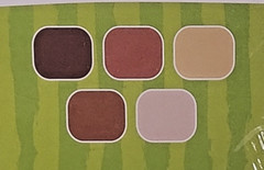 Skin Tone Heavyweight Construction Paper 9×12 50 Sheets 5 Colors by Spark (T117)