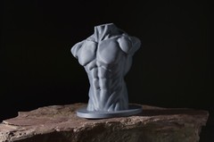 Planar Head, with Male & Female Torso — Art Reference Collection