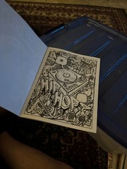 Lot of 2 Advanced Coloring Books – Chris Garver Animal Odyssey & Graffiti Art