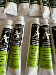 LOT 49 Grumbacher Academy Watercolor Paint 7.5ml 0.25Oz Blue Black Green Red