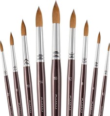 Sable Watercolor Brushes Professional Superior Kolinsky Watercolor Paint,9pcs,US