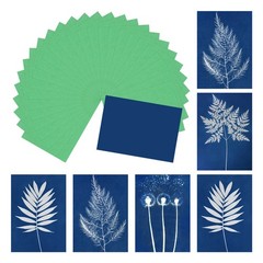 Cyanotype Paper, 12 Sheet Sun Print Paper Kit Green Crafts Paper 11.7×8.3″