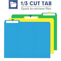 220 Colored File Folder – 1/3 Assorted 6 Double-Sided Colors