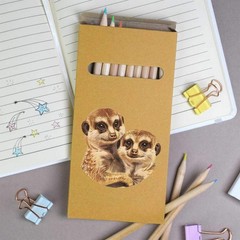12 x ‘Meerkat Couple Portrait’ Long Colour Pencils (PE00097941)