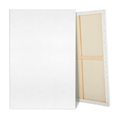 Jenjen Tradition Large Canvas For Painting 2 Pack 30X40 White Pre Stretched